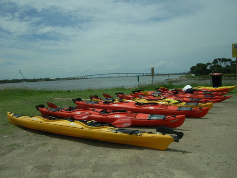 Newcastle Kayak Tours - Accommodation Sunshine Coast 2