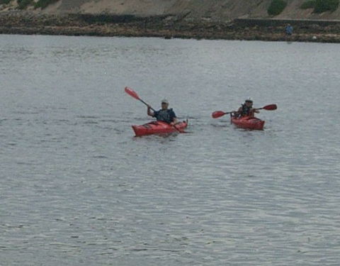 Newcastle Kayak Tours - Accommodation Sunshine Coast 4