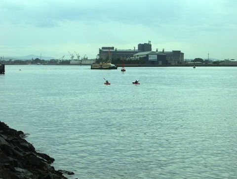 Newcastle Kayak Tours - Accommodation Sunshine Coast 5
