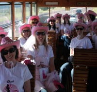 Newcastles Famous Tram - Accommodation Sunshine Coast