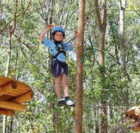 TreeTops Newcastle - Accommodation Sunshine Coast