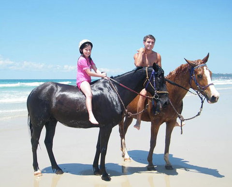 Pegasus Park Equestrian Centre - Accommodation Sunshine Coast 1