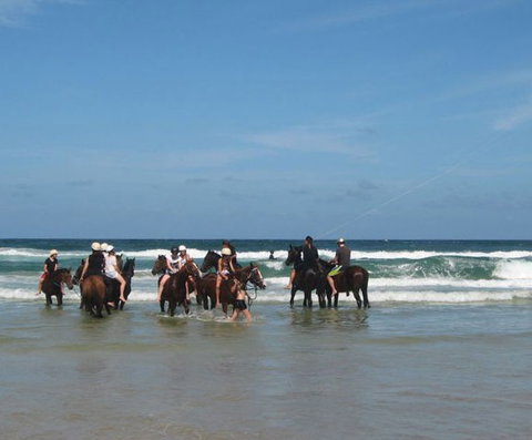 Pegasus Park Equestrian Centre - Accommodation Sunshine Coast 2