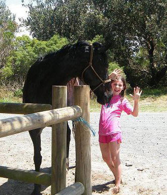 Pegasus Park Equestrian Centre - Accommodation Sunshine Coast 3