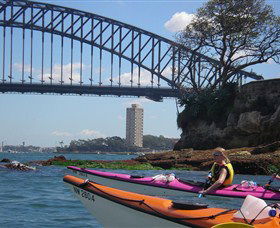 Natural Wanders - Accommodation Sunshine Coast 3