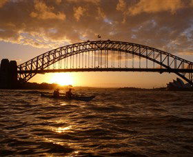 Natural Wanders - Accommodation Sunshine Coast 6