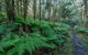 Dalrymple-Hay Nature Reserve - thumb 0