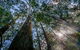 Dalrymple-Hay Nature Reserve - thumb 1