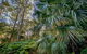 Dalrymple-Hay Nature Reserve - thumb 2