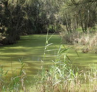Second Ponds Creek walk - Accommodation Sunshine Coast