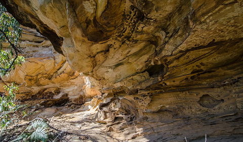 Marramarra National Park - Accommodation Sunshine Coast 0