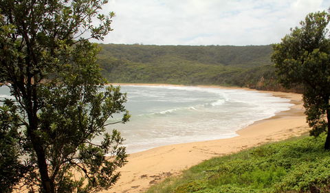 Maitland Bay Track - Accommodation Sunshine Coast 0