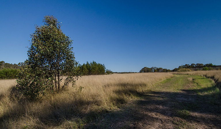 Oakville NSW Accommodation Sunshine Coast