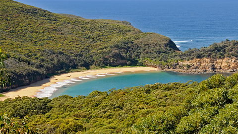 Bouddi National Park - Accommodation Sunshine Coast 0