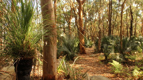 Bouddi National Park - Accommodation Sunshine Coast 1