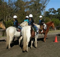 Darkes Forest Riding Ranch - Accommodation Sunshine Coast