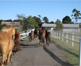 Darkes Forest Riding Ranch - Accommodation Sunshine Coast 1