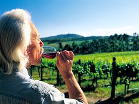 Ashton Hills Vineyard - Accommodation Sunshine Coast 0