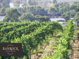 Banrock Station Wine And Wetland Centre - Accommodation Sunshine Coast 0