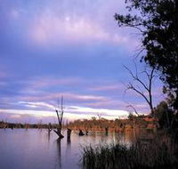 Loch Luna Game Reserve and Moorook Game Reserve - Accommodation Sunshine Coast