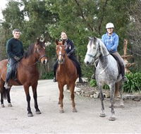 Academy of Dressage - Accommodation Sunshine Coast