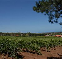 Grancari - Accommodation Sunshine Coast