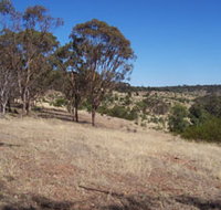 Onkaparinga River National Park - Accommodation Sunshine Coast
