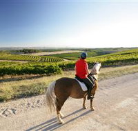 Kidman Trail - Accommodation Sunshine Coast