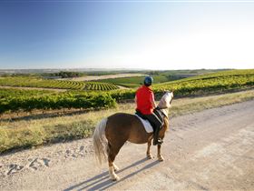 Kidman Trail - Accommodation Sunshine Coast 0