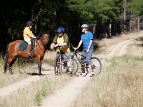 Kidman Trail - Accommodation Sunshine Coast 1