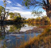 Murray River National Park - Accommodation Sunshine Coast