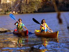 Murray River National Park - Accommodation Sunshine Coast 1