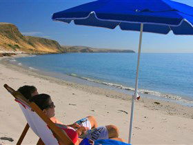 Lady Bay Beach - Accommodation Sunshine Coast 0
