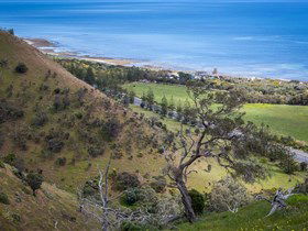 Lady Bay Beach - Accommodation Sunshine Coast 1