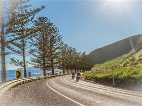Lady Bay Beach - Accommodation Sunshine Coast 2