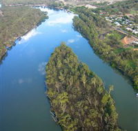 Sturt's Tree