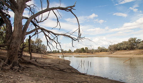 Toorale National Park - Accommodation Sunshine Coast 0
