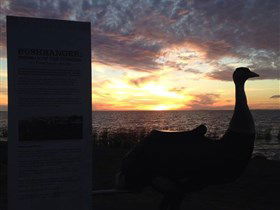Meningie's Pelican Path - Yunti Ngopun Ngami - Accommodation Sunshine Coast 2