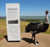 Birdman of the Coorong - Accommodation Sunshine Coast