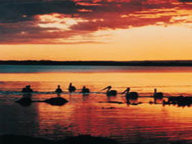 Coorong National Park - Accommodation Sunshine Coast 1