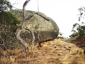 Mount Boothby Conservation Park - Accommodation Sunshine Coast 2