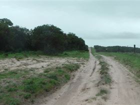 Messent Conservation Park - Accommodation Sunshine Coast 1
