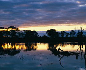 Linga ACT Accommodation Sunshine Coast