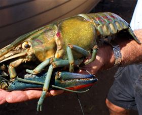 Fairbairn Dam, Lake Maraboon - Accommodation Sunshine Coast 3