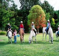 Limestone Coast Horseriding - Accommodation Sunshine Coast