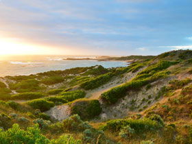 Beachport Conservation Park - Accommodation Sunshine Coast 0
