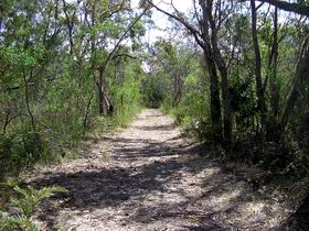 Lanky's Walk - Accommodation Sunshine Coast 0