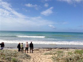Beachport Surf Beach - Accommodation Sunshine Coast 2