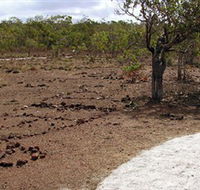 Wurrwurrwuy Garanhan Macassan Beach Interpretive Walk - Accommodation Sunshine Coast