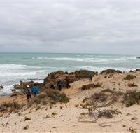 The Seaview Walking Trail